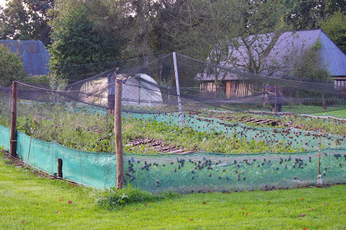 Escargots de Brotonne à Yébleron