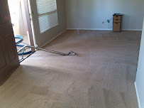 Steamex Carpet Cleaning