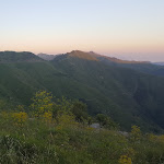 Photo n°3 de l'avis de Tania.r fait le 26/07/2018 à 00:32 sur le  Trattoria del Liberale à Genoa