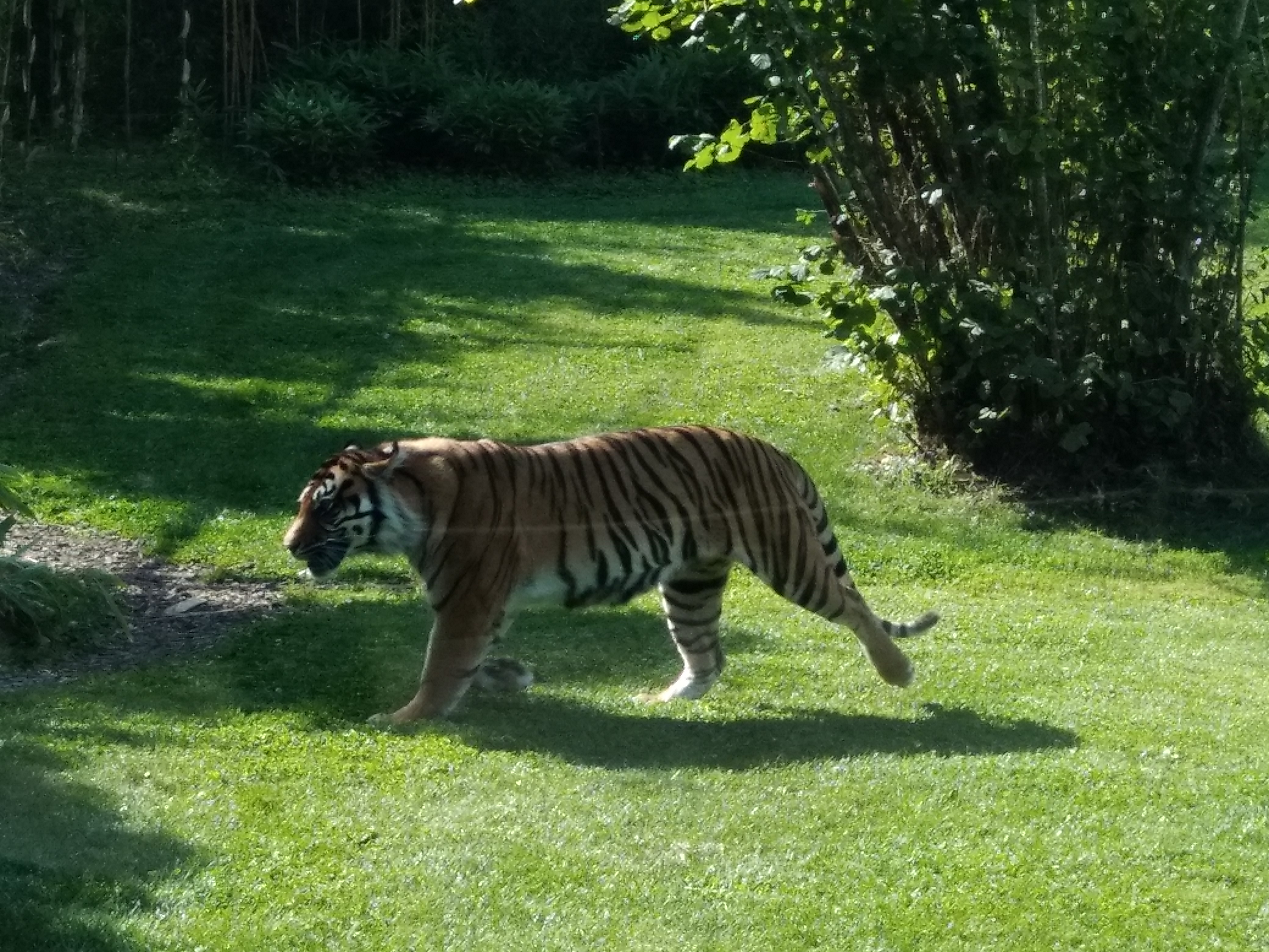 Photo n° 12 de l'avis de carine.a fait le 25/08/2019 à 20:31