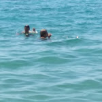 Photo n°7 de l'avis de Lori. fait le 13/07/2020 à 11:58 sur le  Paglicce Beach à Campo nell'Elba