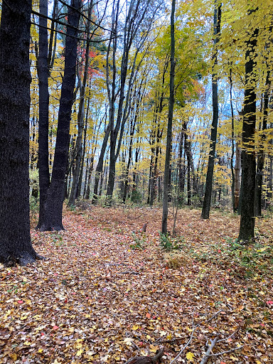 Park «Ellsworth McAfee Park», reviews and photos, 363 South St, Northborough, MA 01532, USA