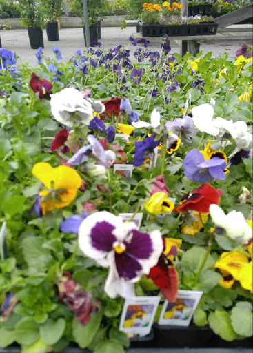 Pet Supply Store «CountryMax - Brockport», reviews and photos, 4875 Lake Rd N, Brockport, NY 14420, USA