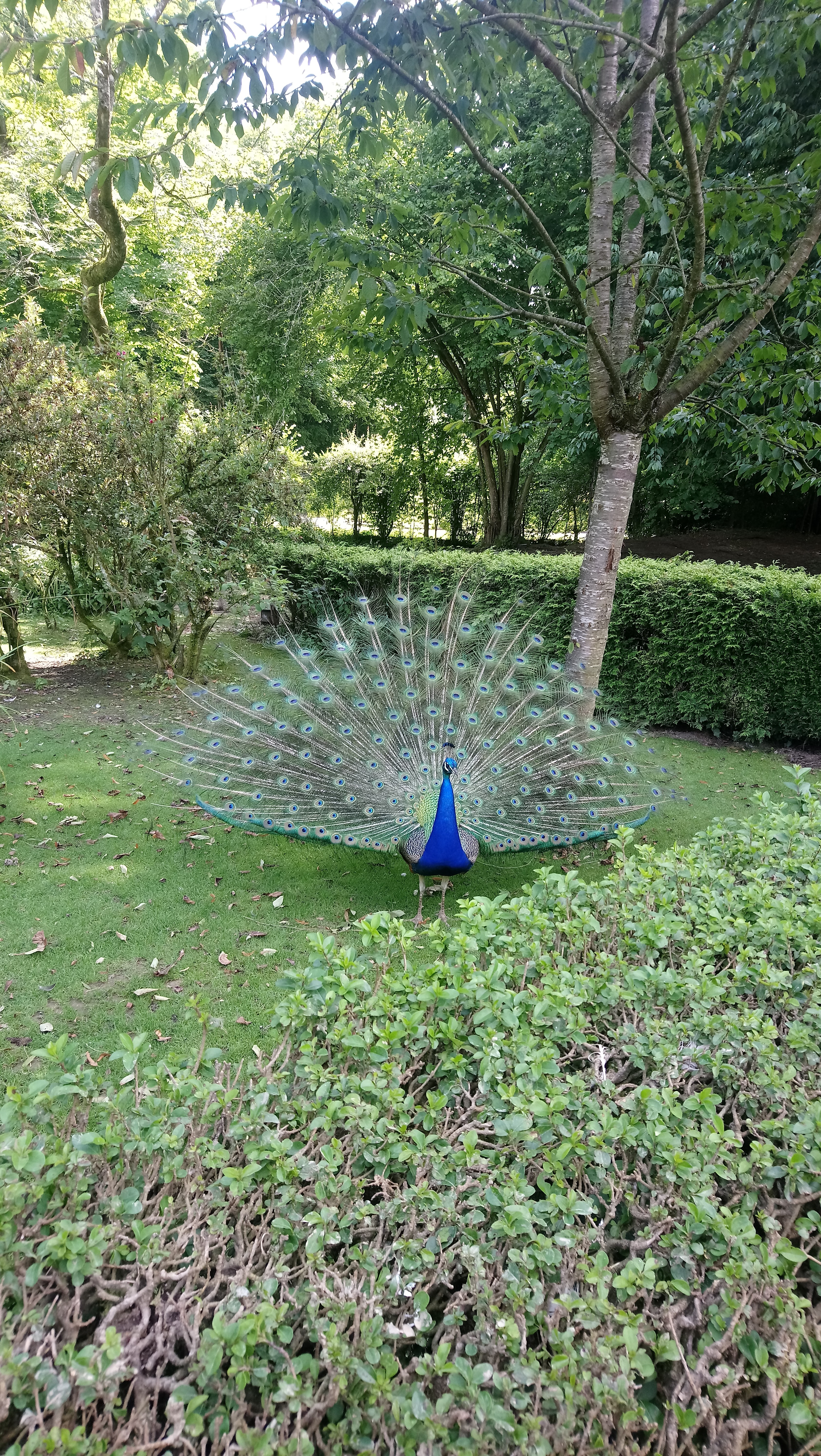 Photo n° 3 de l'avis de Sonia.e fait le 11/08/2021 à 16:42