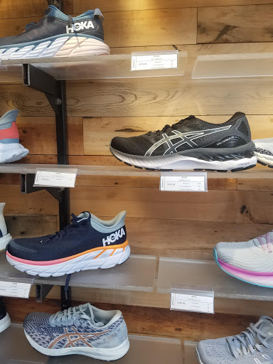 Sporting Goods Store «Marathon Sports», reviews and photos, 255 Washington St, Wellesley, MA 02481, USA