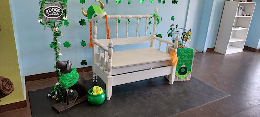 Pet Supply Store «3 Dogs and a Chick», reviews and photos, 130 Miracle Strip Pkwy SE, Fort Walton Beach, FL 32548, USA