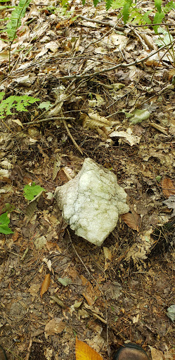 Nature Preserve «Eshqua Bog Natural Area», reviews and photos, Garvin Hill Rd, Woodstock, VT 05091, USA