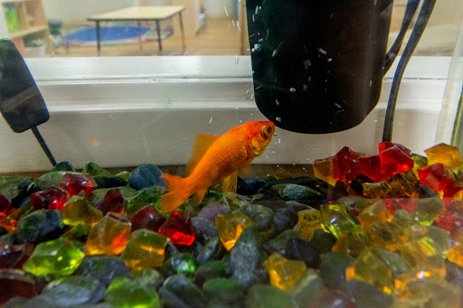 Day Care Center «Lightbridge Academy», reviews and photos, 2319 NJ-34, Manasquan, NJ 08736, USA