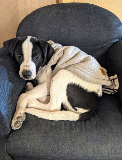 52150 Interstate 10 Frontage Rd, Comfort, TX 78013, USA