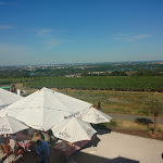 Photo n°1 de l'avis de Boris.a fait le 04/07/2019 à 21:45 sur le  Hofgut Laubenheimer Höhe à Mainz