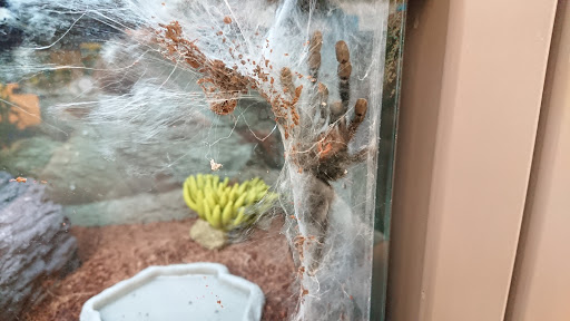 Pet Supply Store «Petco Animal Supplies», reviews and photos, 1141 Wantagh Ave, Wantagh, NY 11793, USA