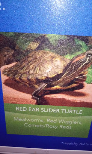 Pet Supply Store «PetSmart», reviews and photos, 55 Boston Post Rd, Orange, CT 06477, USA