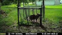 Mid Florida Hog Trapping - Photo 5 - Car repair in , Brandon
