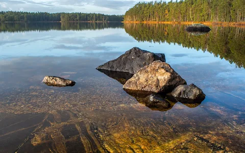 Stora Envätterns naturreservat image