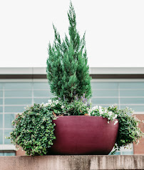 Interior Plantscapes - Photo 9 - Car repair in Greenville, SC, Mauldin