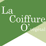 Coiffeur à domicile La Coiffure Ô Végétal 30430 Barjac