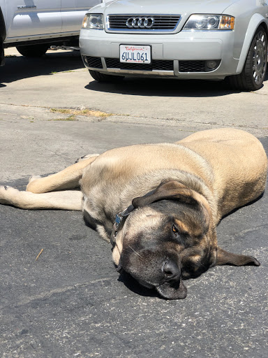 Auto Repair Shop «BTM Motorwerks», reviews and photos, 1661 S Bascom Ave, Campbell, CA 95008, USA