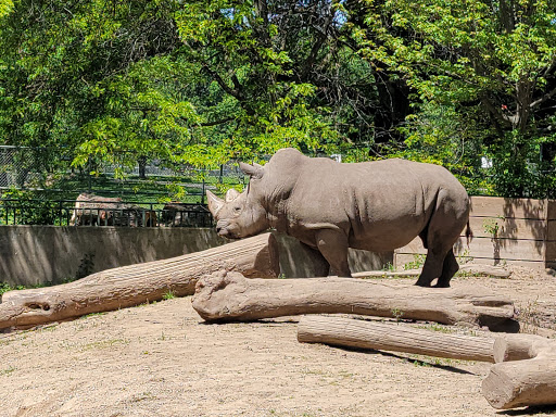 Zoo «Henry Vilas Zoo», reviews and photos, 702 S Randall Ave, Madison, WI 53715, USA