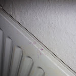 Photo n°2 de l'avis de Christof.c fait le 23/05/2018 à 08:08 sur le  Hotel Charlott מלון à Eisenbach