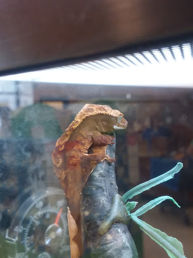 Pet Supply Store «PetSmart», reviews and photos, 1125 Hover St, Longmont, CO 80501, USA