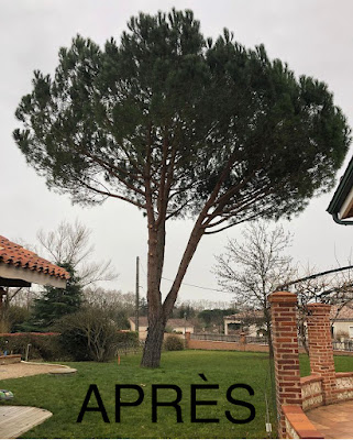 Arbo K.Design à Castelmaurou