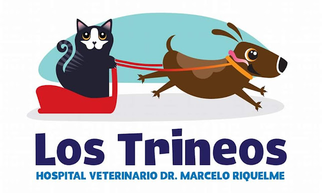Hospital Veterinario Los Trineos - Veterinario