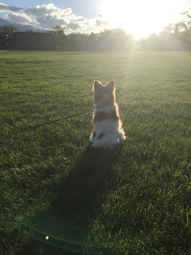 Park «Village Green Park», reviews and photos, 3590 N Carefree Cir, Colorado Springs, CO 80917, USA