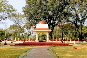 Mirpur Buddijibi Shahid Minar image