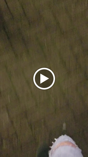 Sporting Goods Store «The Duck Store», reviews and photos, 12130 SE 82nd Ave, Happy Valley, OR 97086, USA