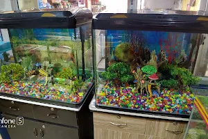 Amul Ice Cream Parlour and Aquarium shop image