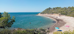 Photo de Platja del Torrent del Pi avec un rivage spacieux