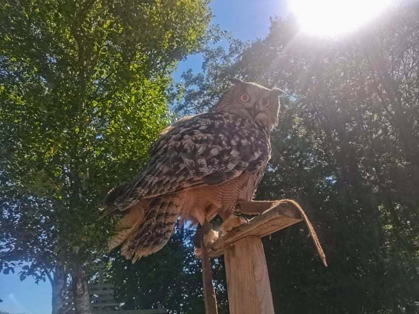 Photo n° 1 de l'avis de Myriam.O fait le 09/08/2022 à 14:13