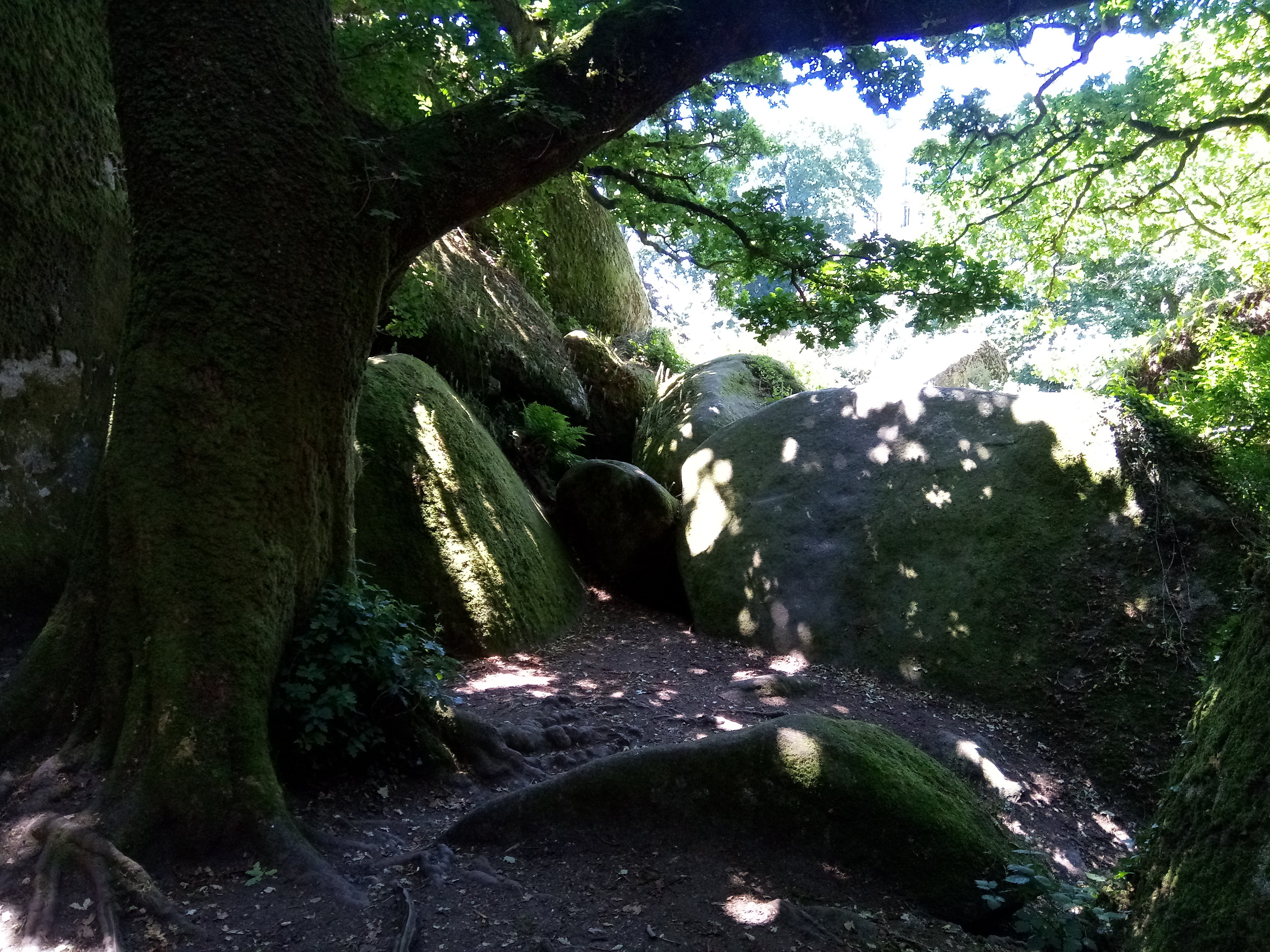 Photo n° 9 de l'avis de Christophe.n fait le 09/07/2018 à 16:57