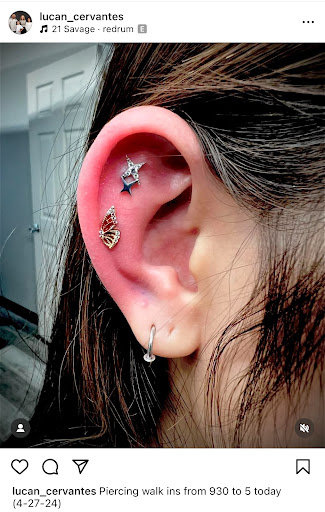 Explore gap filler tattoo filler ideas for a woman, creative tattoo ideas in Hastings, available at Black Diamond Tattoo