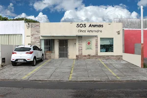 SOS. Animals - Veterinary Clinic 24 Hours image