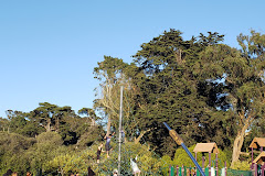 Koret Children's Playground