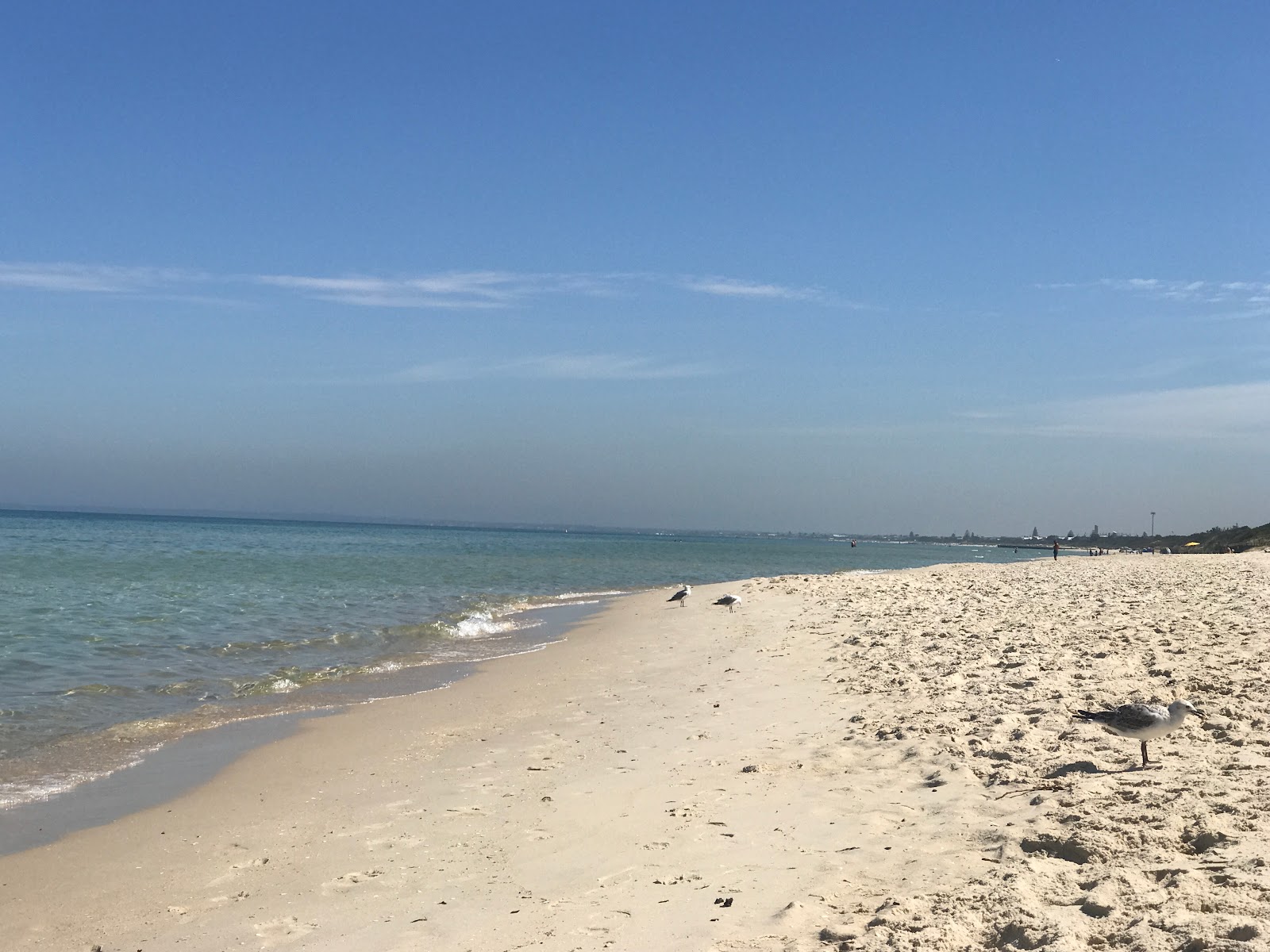 Fotografie cu Seaford Beach - locul popular printre cunoscătorii de relaxare