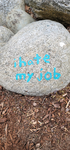 Park «Viewpoint Park», reviews and photos, 134th & NE 24th Street, Bellevue, WA 98005, USA