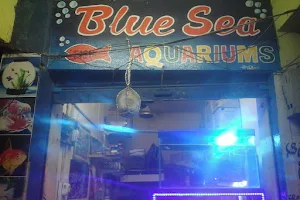 Blue Sea fish Aquarium image