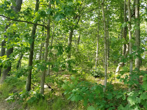 Golf Course «Pine View Golf Club», reviews and photos, Pulver Rd, Three Rivers, MI 49093, USA