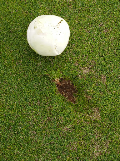 Golf Course «Mound Golf Course», reviews and photos, 757 Mound Rd, Miamisburg, OH 45342, USA