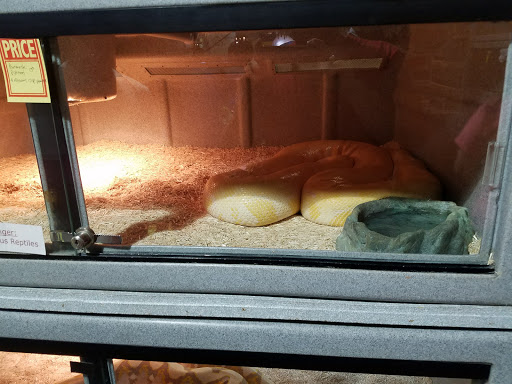 Pet Store «Incredible Pets Inc», reviews and photos, 2255 N Wickham Rd # 102, Melbourne, FL 32935, USA