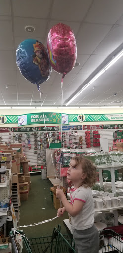Dollar Store «Dollar Tree», reviews and photos, 1604 N Locust Ave c, Lawrenceburg, TN 38464, USA