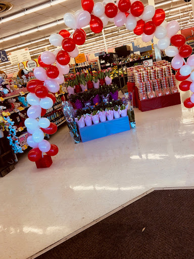 Grocery Store «Winn-Dixie», reviews and photos, 3850 N 46th Ave, Hollywood, FL 33021, USA