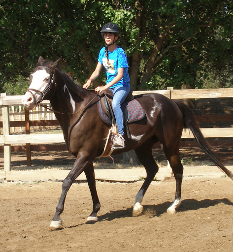 Hillside Riding Stables, Lessons & Horse Camps