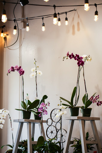 Florist «In Bloom Florist - Heathrow, Florida», reviews and photos, 1210 International Pkwy, Lake Mary, FL 32746, USA