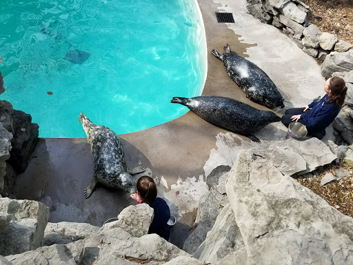 Aquarium «Aquarium of Niagara», reviews and photos, 701 Whirlpool St, Niagara Falls, NY 14301, USA