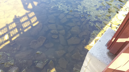 Golf Course «River Creek Club», reviews and photos, 43800 Olympic Blvd, Leesburg, VA 20176, USA