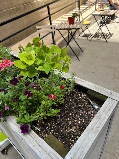 Coffee Shop «Adezzo», reviews and photos, 515 Center St, Scranton, PA 18503, USA