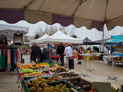 Place des vignes à Millery